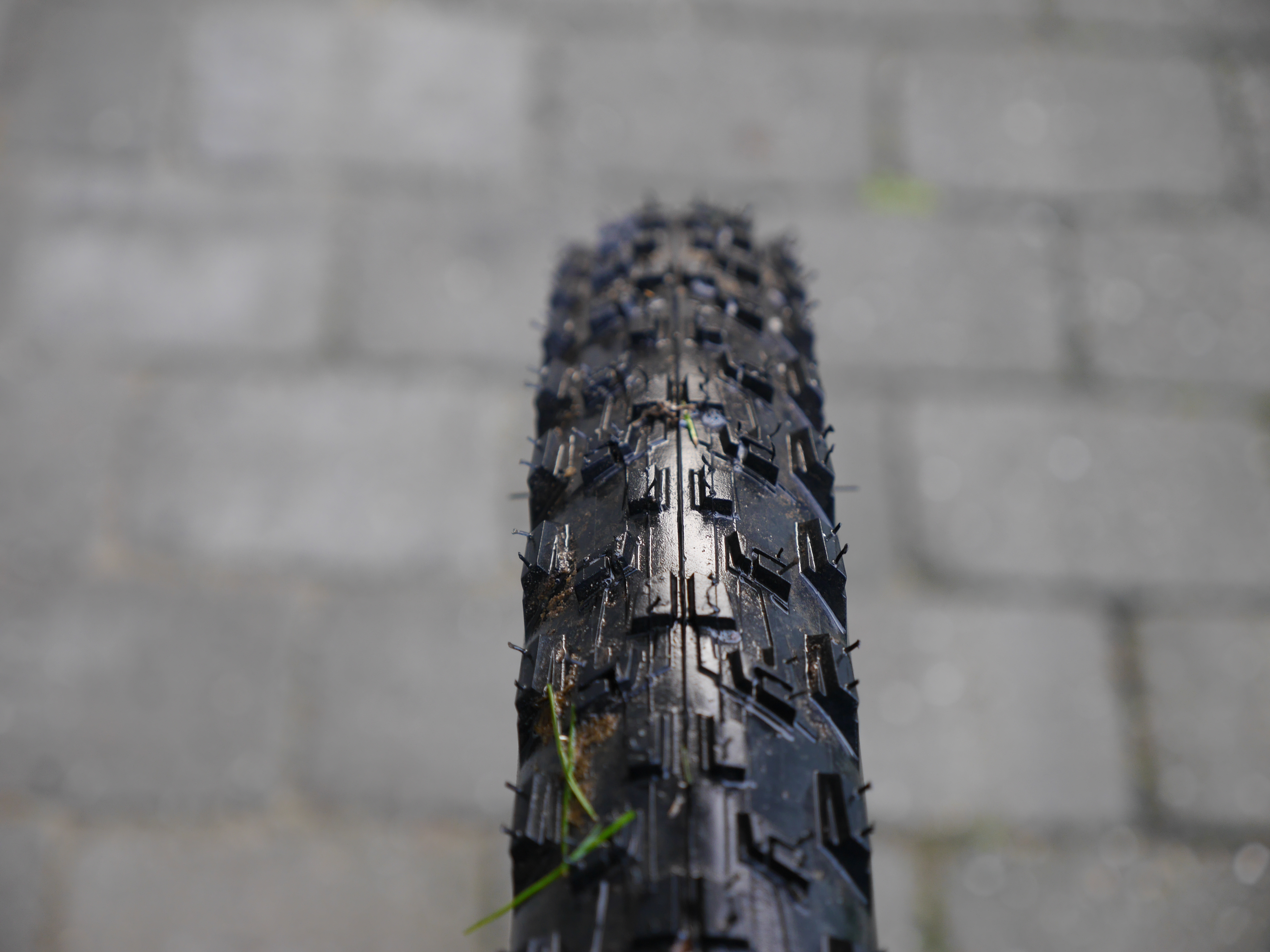 Ikke moderigtigt kommentator glemme Test: Michelin Wild Grip'R2 MTB dæk | CykelStart.dk